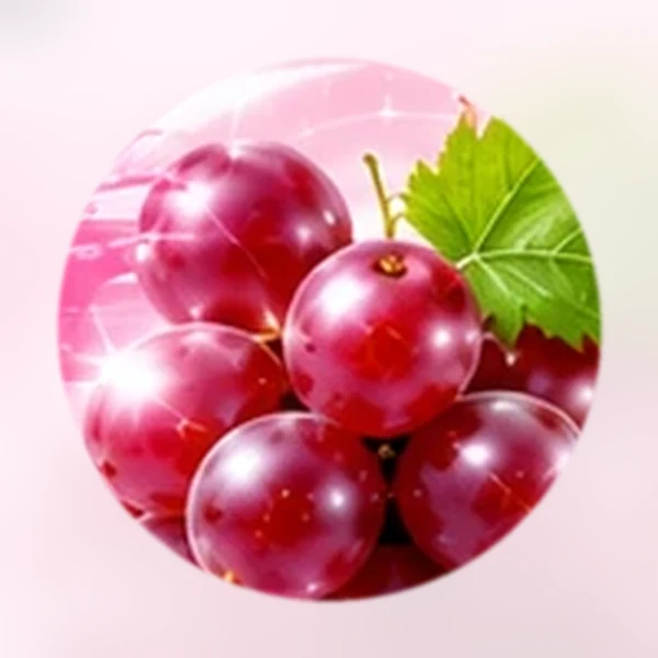 GRAPE SEED EXTRACT